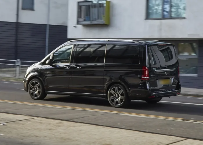 Back View of Mercedes Viano